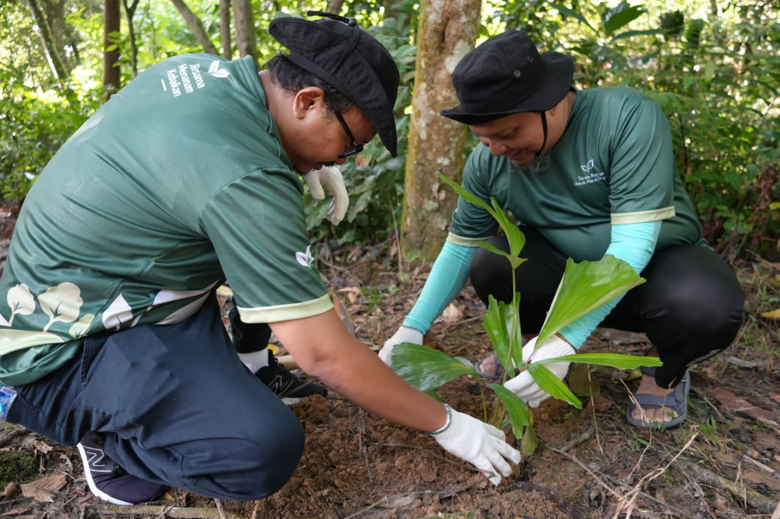 PERINGATI HUT KE-31, PLN INDONESIA POWER UBH TANAM POHON DI TAMAN NASIONAL GUNUNG LEUSER
